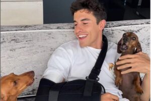 MotoGP, Alberto Puig sobre Marc Marquez:  “A prioridade é a recuperação do braço” thumbnail