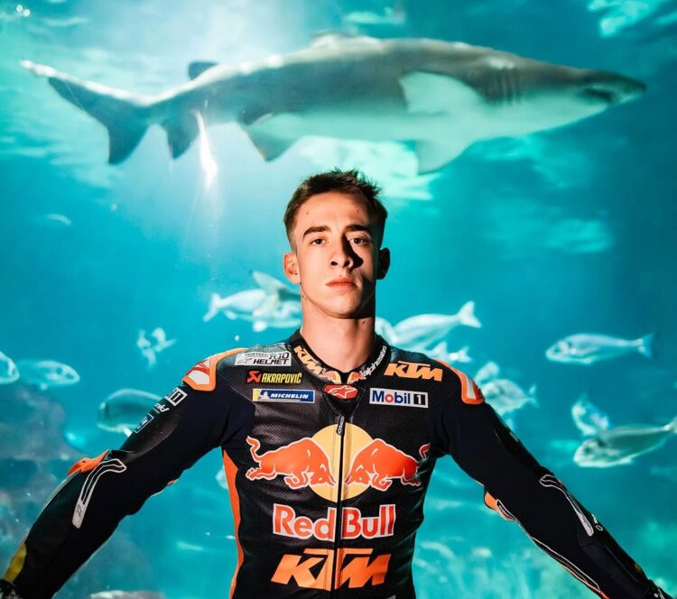 MotoGP: 2025 será o ano de Pedro Acosta?